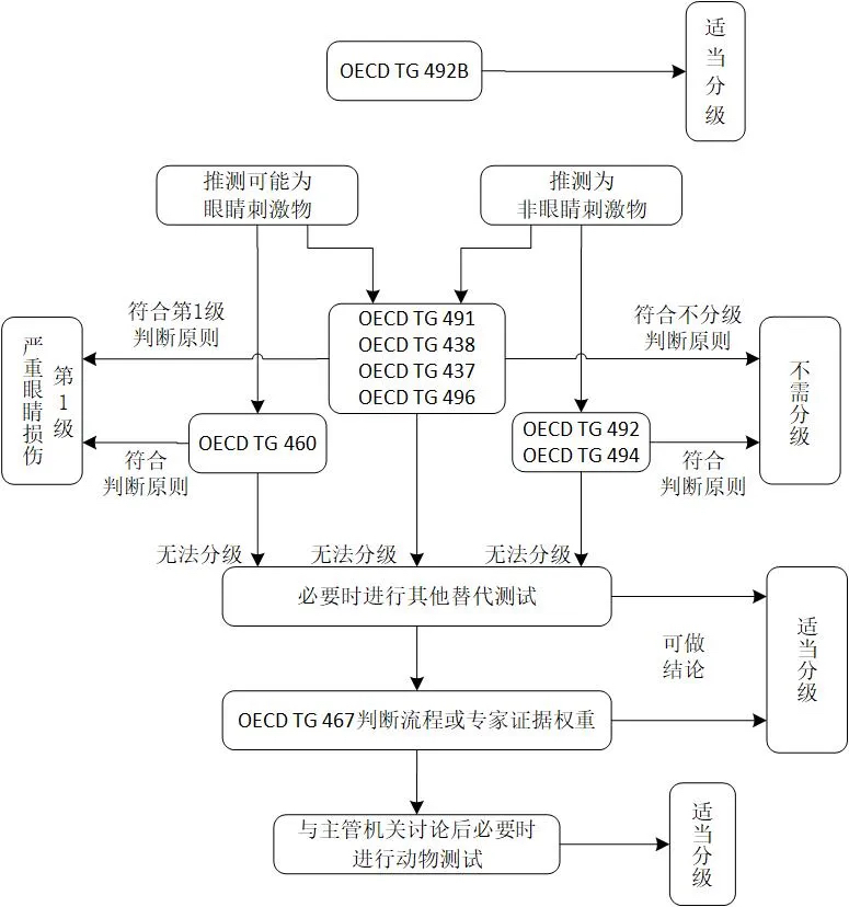 眼睛刺激替代测试试验流程