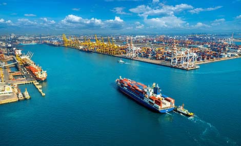 Navigating U.S. TSCA Compliance for Biopolymers: Key Insights and Challenges