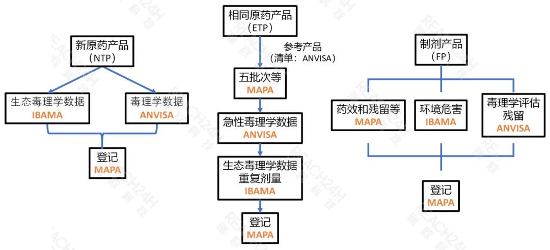 巴西农药登记流程