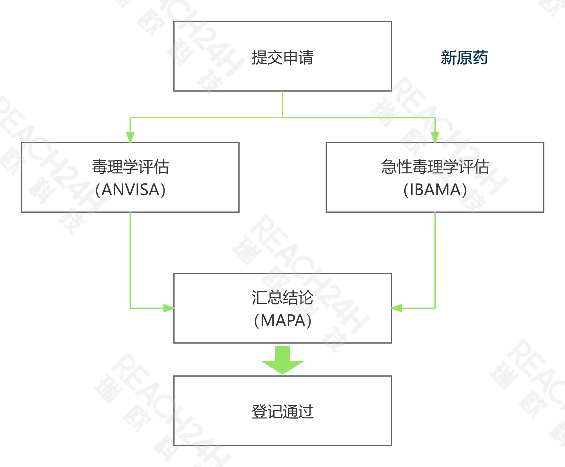 巴西新原药登记