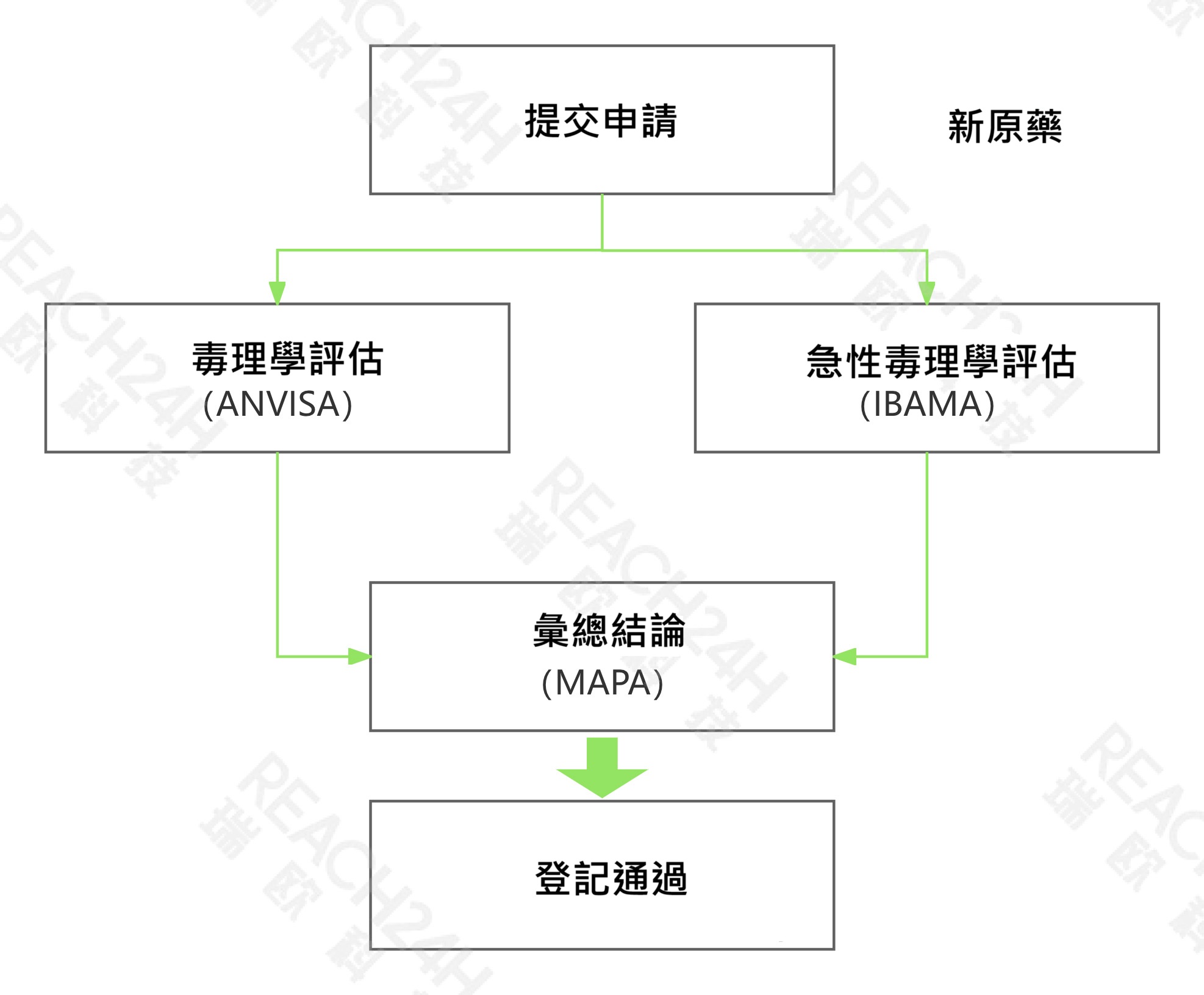 巴西新原藥登記