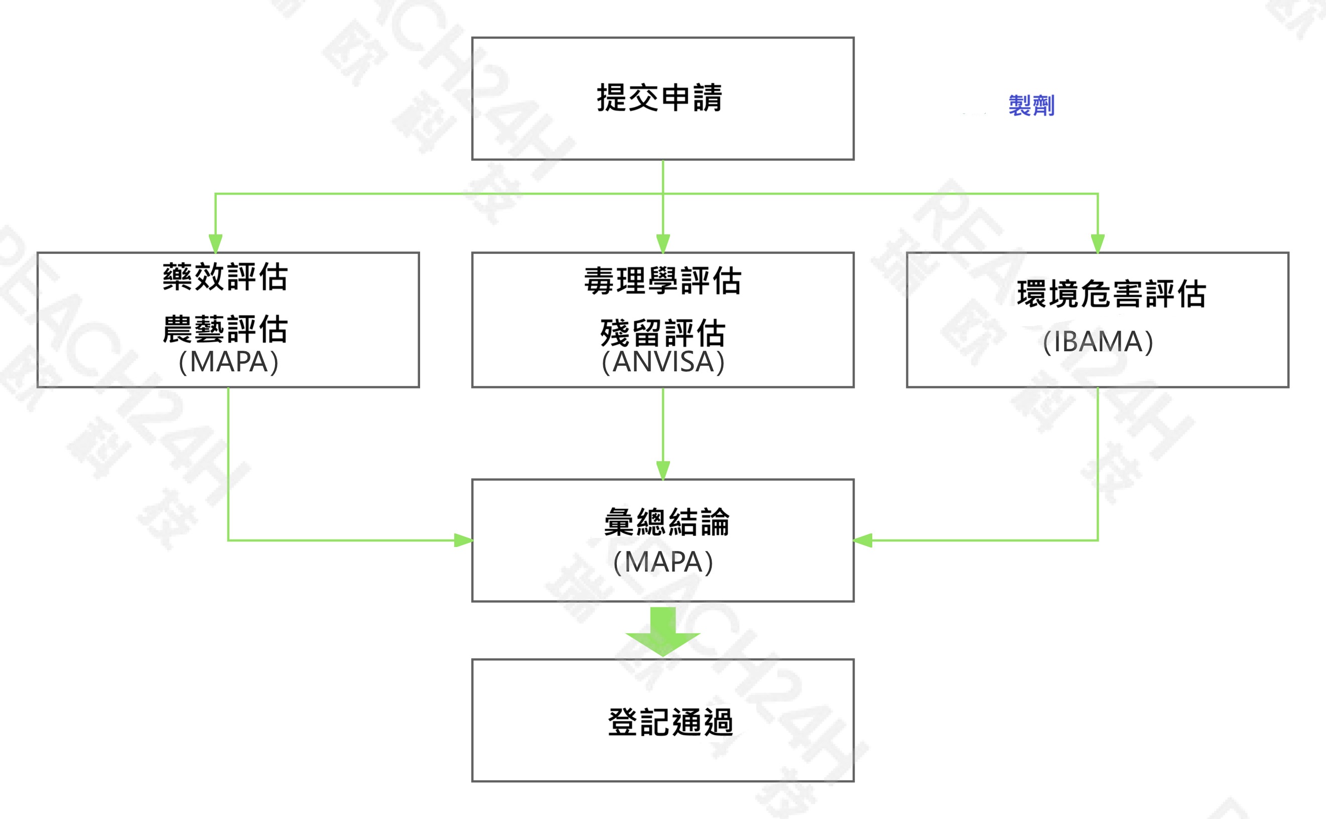 巴西製劑登記