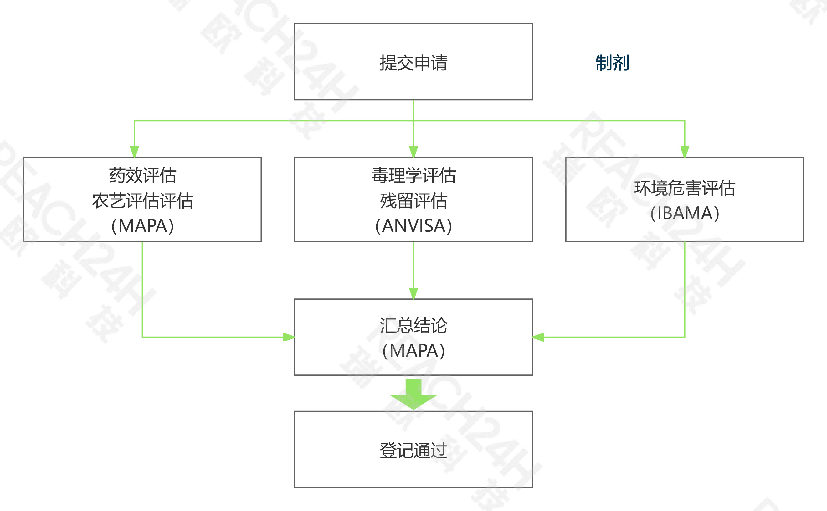 巴西制剂登记