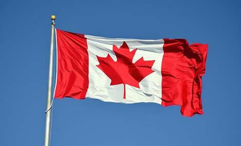 Canada Adds 2,4-Pentanedione to CEPA Watch List; MEK and MIBK Face Proposed Controls  OG Title