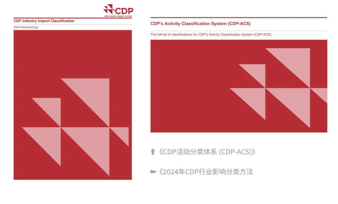 《2024年CDP行业影响分类方法学》