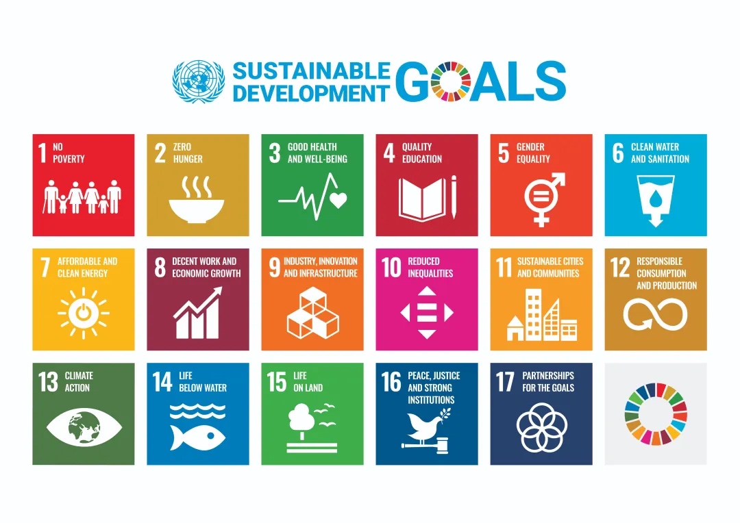 17项可持续发展目标（SDGs）