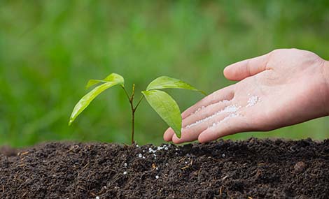 China Implements New QR Code Labeling Rules for Pesticides Effective November 1, 2026