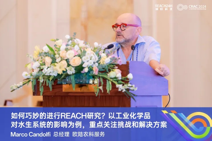 REACH研究