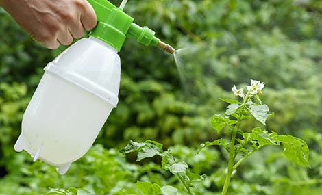 美国EPA农药双语标签MyPeST申报要求全梳理（7月31日前截止）