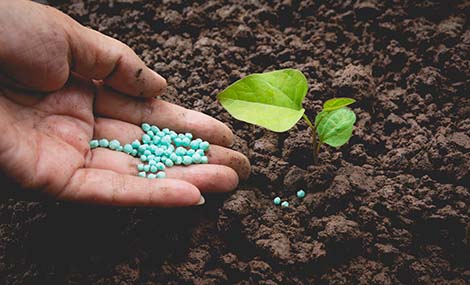 Fertilizer Compliance in the EU: Mastering FPR and REACH Requirements for CE Certification