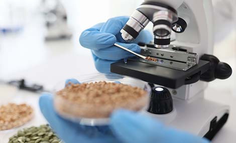 食品用微生物出海怎么做安全评估？中欧美法规技术要求一次讲清