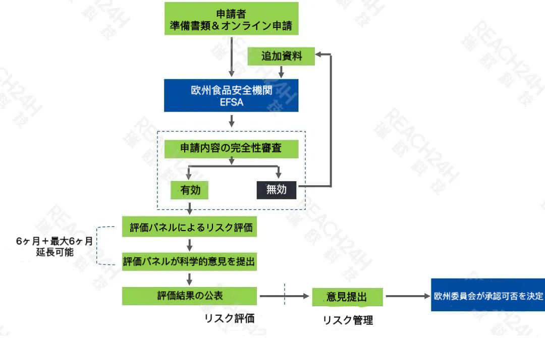 IMG_1238.png