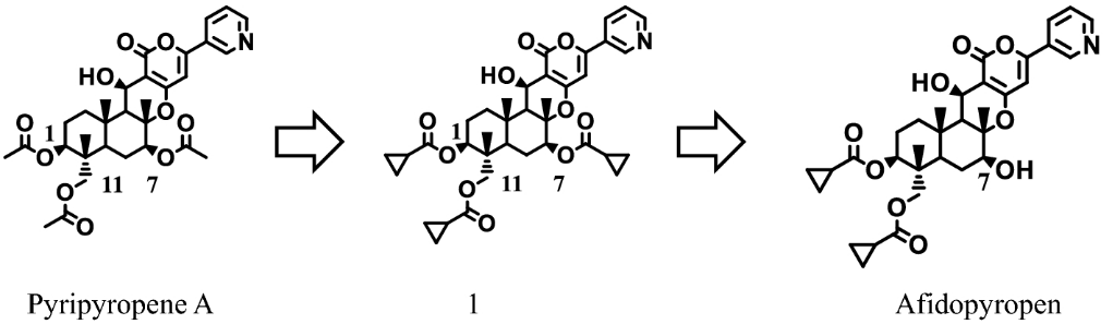 双丙环虫酯的先导化合物的发现与分子修饰过程