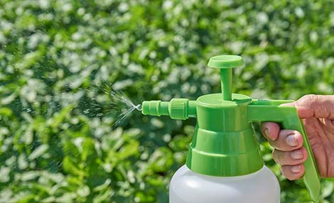 FAQ | Technical Material Pesticide Registration