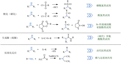 主要的氨基衍生化试剂及其反应