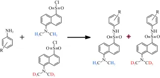 稳定同位素标记的丹磺酰氯与苯胺的反应