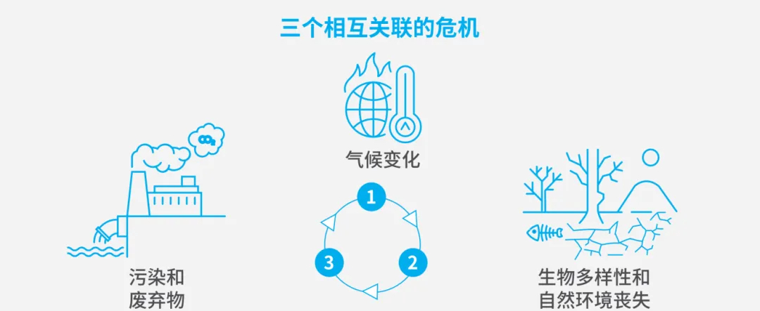 PFAS定义与涵盖范围