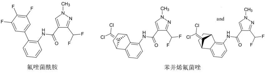 吡唑酰胺类化合物