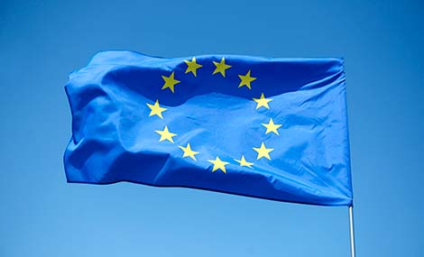 Regulatory Risk Management of EU REACH: A Deep Dive into CLH, SVHC, Authorization, and Restriction