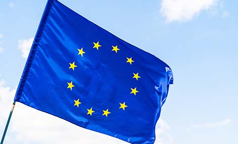 What are the Differences Between Articles and Substances/Mixtures Under EU REACH