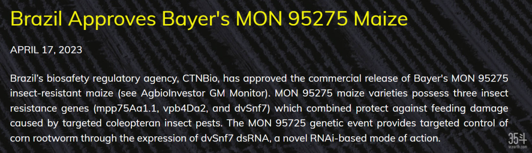 孟山都（拜耳）的转基因玉米MON95275获巴西批准