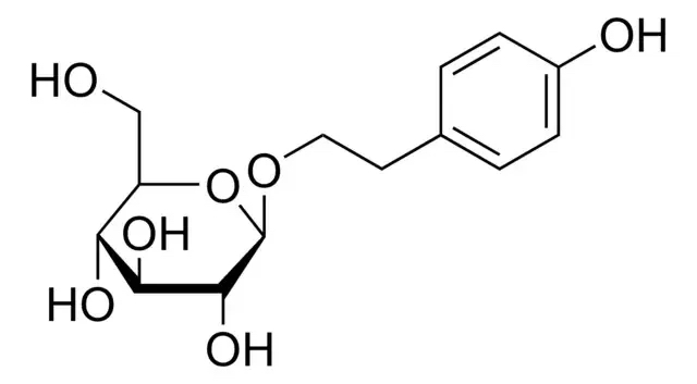 红景天苷