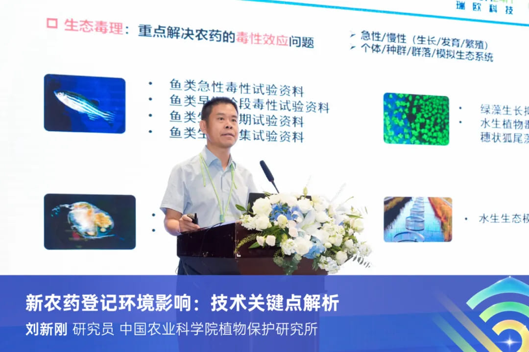 刘新刚：新农药登记环境影响：技术关键点解析