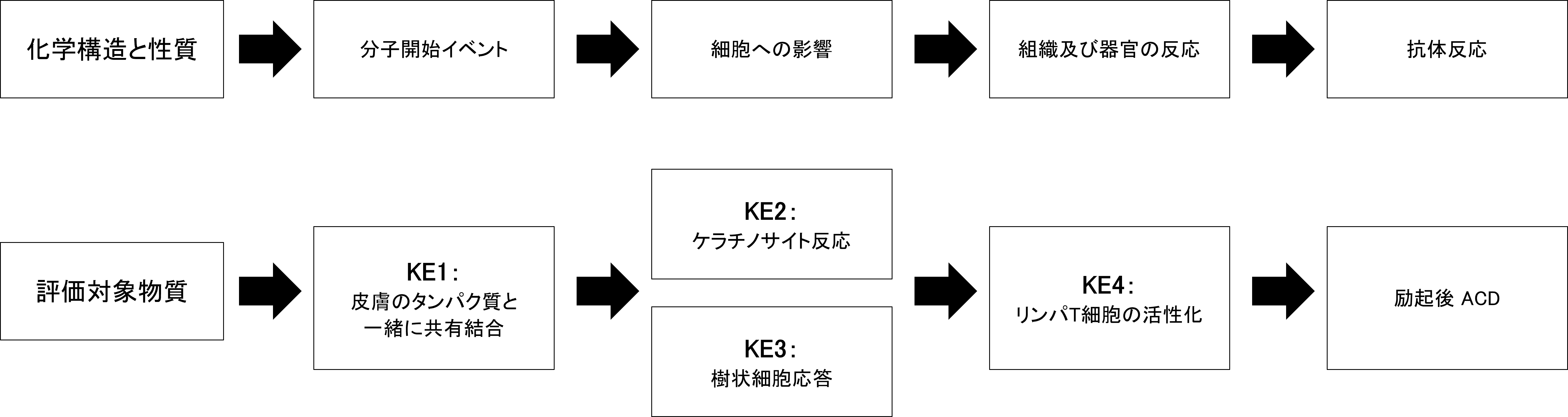 皮膚感作性AOPの模式図.png