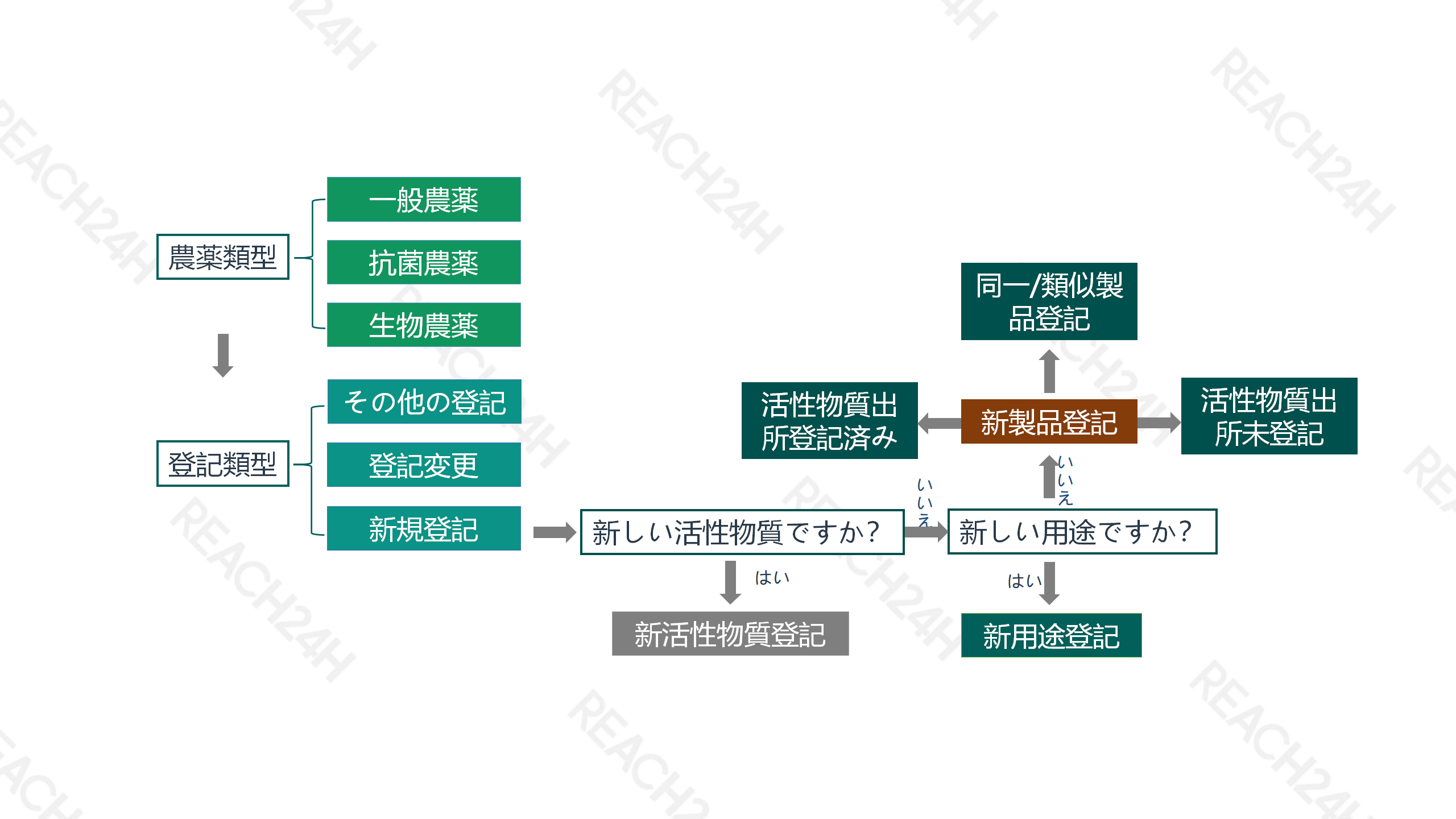 美国-欧盟农药登记流程图-更新-自动保存-12.png