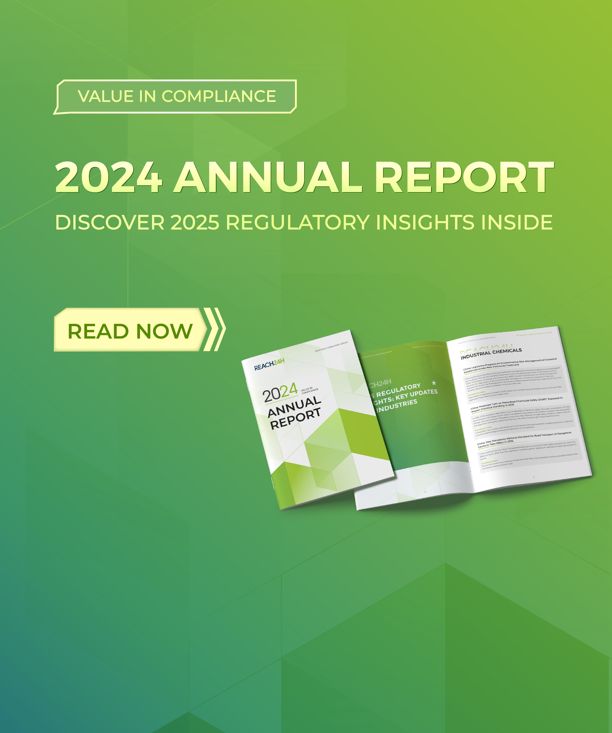 REACH24H Drives Excellence in 2024 | Annual Report Released