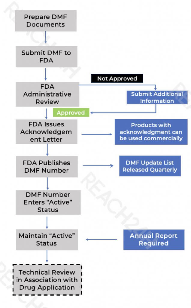 dmf filing flowchart
