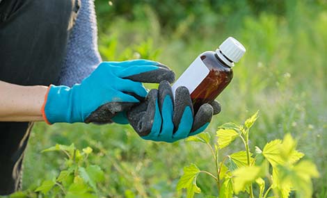 EPA Seeks Public Comment on New Plan to Streamline Tracking of Bilingual Labeling Adoption and Releases Updated Bilingual Labeling Resources  