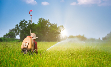 EPA Finalizes Cancellation and Termination of Uses for Chlorpyrifos Products