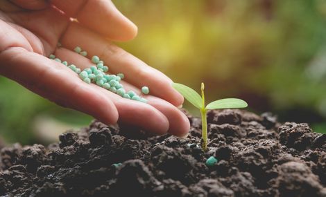 EPA Announces Proposed Registration of Pesticide Fluoxapiprolin