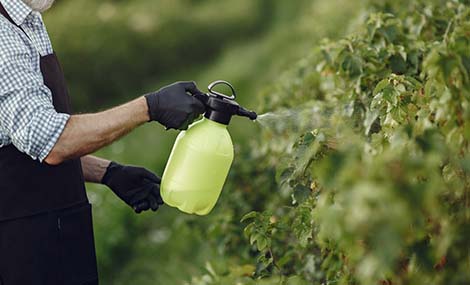 China MoARA Announcement No. 925: Enhancing Pesticide Labeling Standards