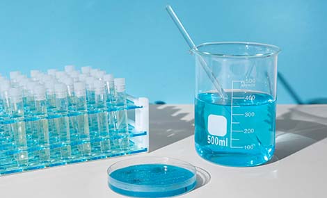 China Chemical New Usage Environmental Management Registration: REACH24H's Guide & Tips